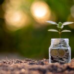 5 Melhores Investimentos para Vida